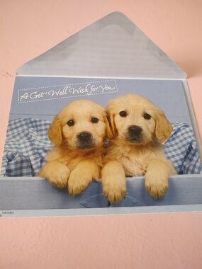 Bundle of 'Get Well Soon ' & 'Thinking of You' Greeting Cards